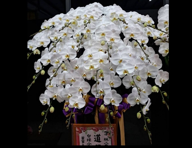 大型治喪蘭花