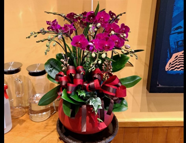 精品桌上型蘭花