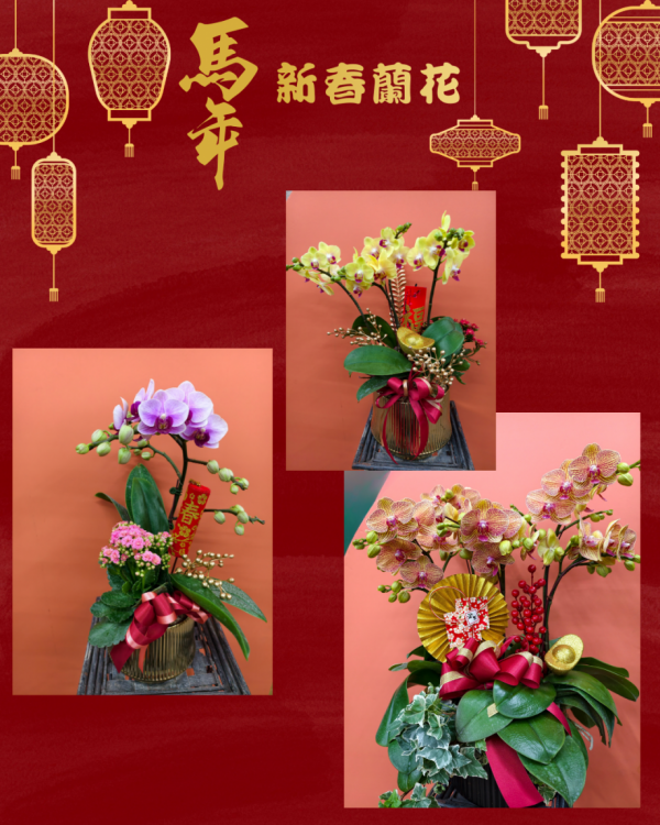 新春花禮